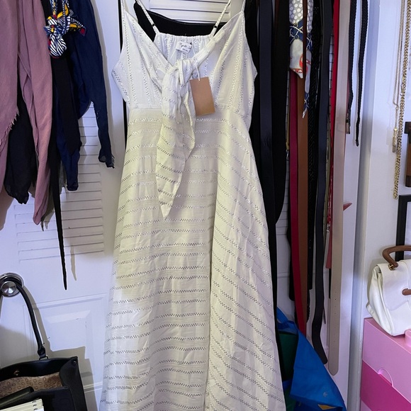 NWT RUJUTA SHETH STELLA DRESS in BONE L - Picture 14 of 15